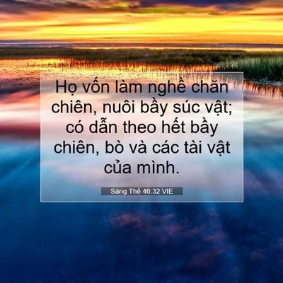 Picture 07 - Sáng Thế 46:32 VIE - Họ vốn làm nghề chăn chiên, nuôi bầy - Bible Verse Picture