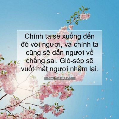 Picture 07 - Sáng Thế 46:4 VIE - Chính ta sẽ xuống đến đó với ngươi, - Bible Verse Picture