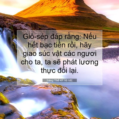 Picture 07 - Sáng Thế 47:16 VIE - Giô-sép đáp rằng: Nếu hết bạc tiền - Bible Verse Picture