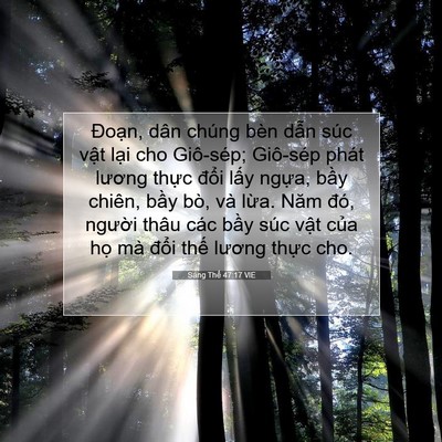 Picture 07 - Sáng Thế 47:17 VIE - Đoạn, dân chúng bèn dẫn súc vật lại - Bible Verse Picture