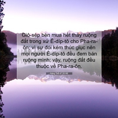 Picture 07 - Sáng Thế 47:20 VIE - Giô-sép bèn mua hết thảy ruộng đất - Bible Verse Picture