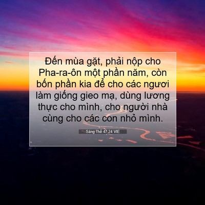 Picture 07 - Sáng Thế 47:24 VIE - Đến mùa gặt, phải nộp cho Pha-ra-ôn - Bible Verse Picture