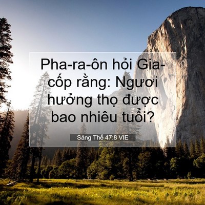 Picture 07 - Sáng Thế 47:8 VIE - Pha-ra-ôn hỏi Gia-cốp rằng: Ngươi - Bible Verse Picture