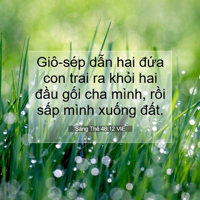 Picture 07 - Sáng Thế 48:12 VIE - Giô-sép dẫn hai đứa con trai ra khỏi hai - Bible Verse Picture