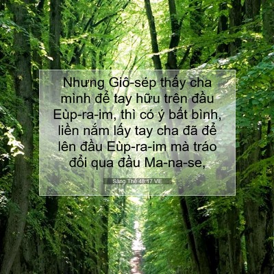 Picture 07 - Sáng Thế 48:17 VIE - Nhưng Giô-sép thấy cha mình để tay hữu - Bible Verse Picture