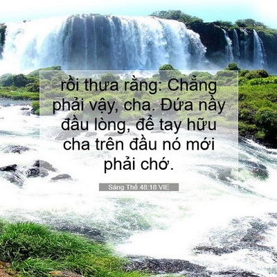 Picture 07 - Sáng Thế 48:18 VIE - rồi thưa rằng: Chẳng phải vậy, cha. - Bible Verse Picture