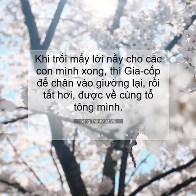 Picture 07 - Sáng Thế 49:33 VIE - Khi trối mấy lời nầy cho các con mình - Bible Verse Picture