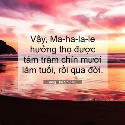 Picture 07 - Sáng Thế 5:17 VIE - Vậy, Ma-ha-la-le hưởng thọ được tám - Bible Verse Picture
