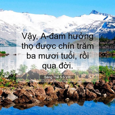 Picture 07 - Sáng Thế 5:5 VIE - Vậy, A-đam hưởng thọ được chín trăm - Bible Verse Picture