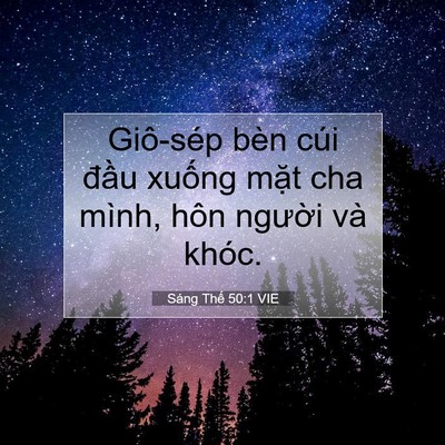 Picture 07 - Sáng Thế 50:1 VIE - Giô-sép bèn cúi đầu xuống mặt cha - Bible Verse Picture