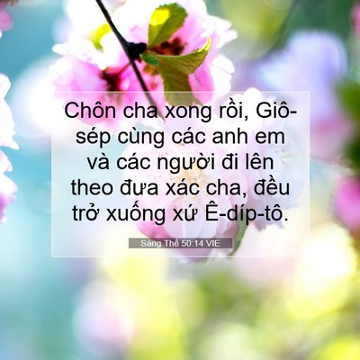 Picture 07 - Sáng Thế 50:14 VIE - Chôn cha xong rồi, Giô-sép cùng các anh em - Bible Verse Picture