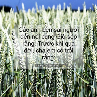 Picture 07 - Sáng Thế 50:16 VIE - Các anh bèn sai người đến nói cùng - Bible Verse Picture