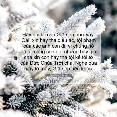 Picture 07 - Sáng Thế 50:17 VIE - Hãy nói lại cho Giô-sép như vầy: Oâi! - Bible Verse Picture