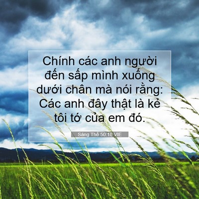 Picture 07 - Sáng Thế 50:18 VIE - Chính các anh người đến sấp mình - Bible Verse Picture