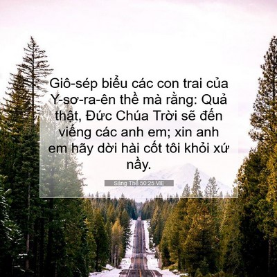 Picture 07 - Sáng Thế 50:25 VIE - Giô-sép biểu các con trai của Y-sơ-ra-ên - Bible Verse Picture