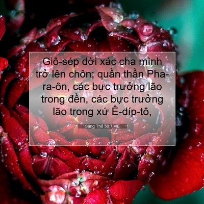 Picture 07 - Sáng Thế 50:7 VIE - Giô-sép dời xác cha mình trở lên chôn; - Bible Verse Picture
