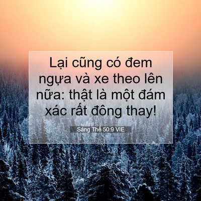 Picture 07 - Sáng Thế 50:9 VIE - Lại cũng có đem ngựa và xe theo lên - Bible Verse Picture