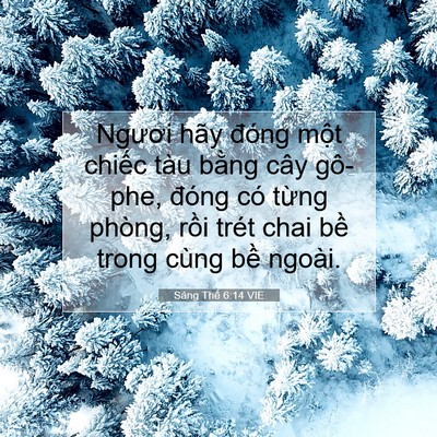 Picture 07 - Sáng Thế 6:14 VIE - Ngươi hãy đóng một chiếc tàu bằng - Bible Verse Picture