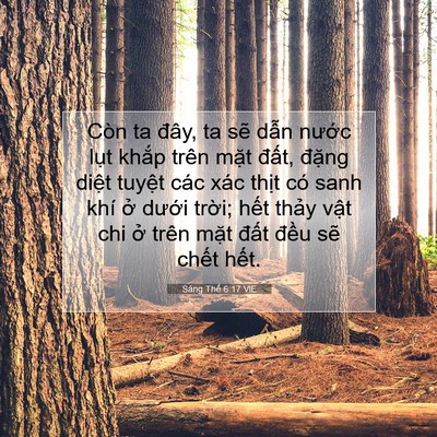 Picture 07 - Sáng Thế 6:17 VIE - Còn ta đây, ta sẽ dẫn nước lụt khắp - Bible Verse Picture