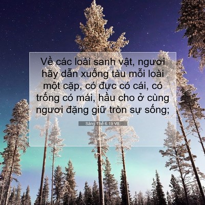 Picture 07 - Sáng Thế 6:19 VIE - Về các loài sanh vật, ngươi hãy dẫn - Bible Verse Picture