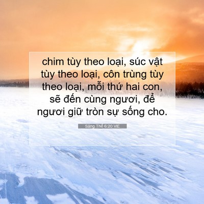 Picture 07 - Sáng Thế 6:20 VIE - chim tùy theo loại, súc vật tùy theo - Bible Verse Picture