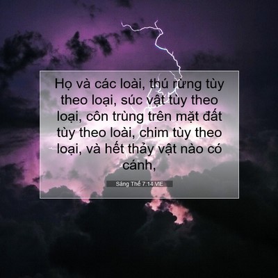 Picture 07 - Sáng Thế 7:14 VIE - Họ và các loài, thú rừng tùy theo - Bible Verse Picture