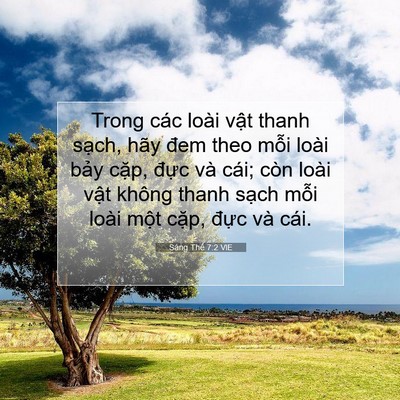 Picture 07 - Sáng Thế 7:2 VIE - Trong các loài vật thanh sạch, hãy đem - Bible Verse Picture