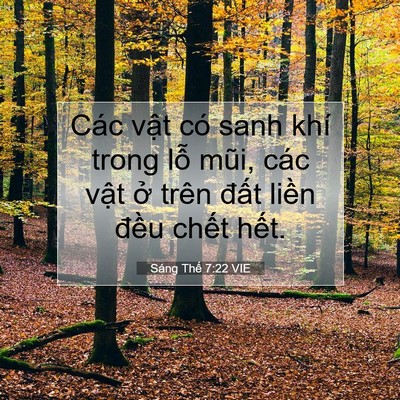 Picture 07 - Sáng Thế 7:22 VIE - Các vật có sanh khí trong lỗ mũi, các - Bible Verse Picture
