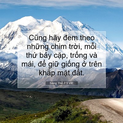 Picture 07 - Sáng Thế 7:3 VIE - Cũng hãy đem theo những chim trời, mỗi - Bible Verse Picture