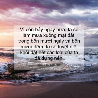 Picture 07 - Sáng Thế 7:4 VIE - Vì còn bảy ngày nữa, ta sẽ làm mưa - Bible Verse Picture