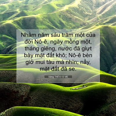 Picture 07 - Sáng Thế 8:13 VIE - Nhằm năm sáu trăm một của đời Nô-ê, - Bible Verse Picture