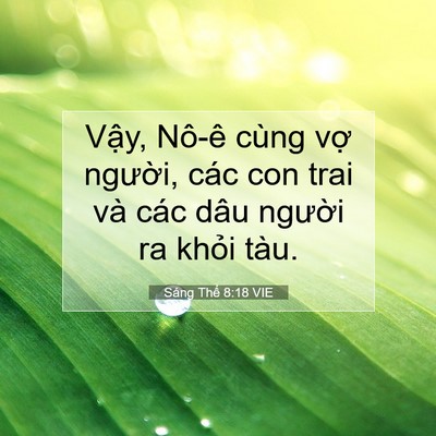 Picture 07 - Sáng Thế 8:18 VIE - Vậy, Nô-ê cùng vợ người, các con trai - Bible Verse Picture