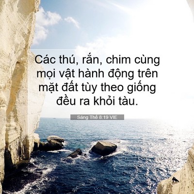 Picture 07 - Sáng Thế 8:19 VIE - Các thú, rắn, chim cùng mọi vật hành - Bible Verse Picture