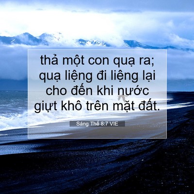 Picture 07 - Sáng Thế 8:7 VIE - thả một con quạ ra; quạ liệng đi - Bible Verse Picture