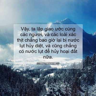 Picture 07 - Sáng Thế 9:11 VIE - Vậy, ta lập giao ước cùng các ngươi, - Bible Verse Picture
