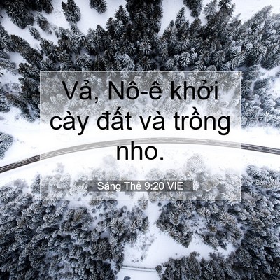 Picture 07 - Sáng Thế 9:20 VIE - Vả, Nô-ê khởi cày đất và trồng - Bible Verse Picture