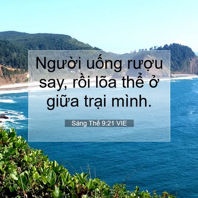 Picture 07 - Sáng Thế 9:21 VIE - Người uống rượu say, rồi lõa thể ở - Bible Verse Picture