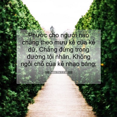 Picture 07 - Thánh Thi 1:1 VIE - Phước cho người nào chẳng theo mưu kế - Bible Verse Picture