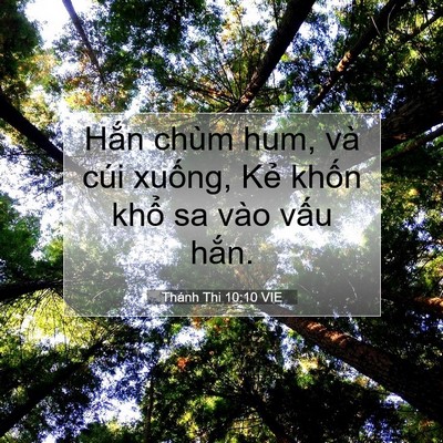 Picture 07 - Thánh Thi 10:10 VIE - Hắn chùm hum, và cúi xuống, Kẻ khốn - Bible Verse Picture