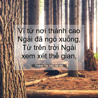 Picture 07 - Thánh Thi 102:19 VIE - Vì từ nơi thánh cao Ngài đã ngó xuống, - Bible Verse Picture