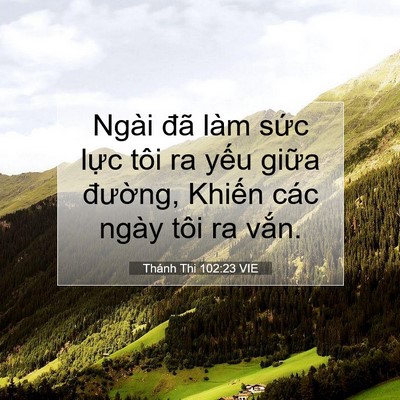 Picture 07 - Thánh Thi 102:23 VIE - Ngài đã làm sức lực tôi ra yếu giữa - Bible Verse Picture