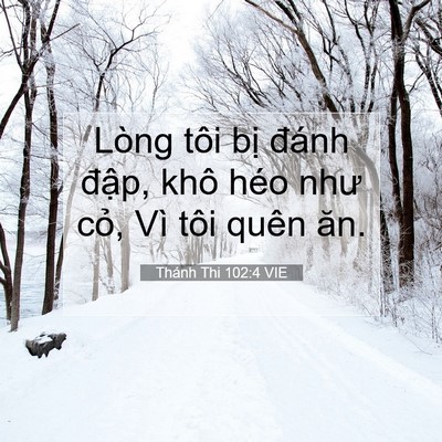 Picture 07 - Thánh Thi 102:4 VIE - Lòng tôi bị đánh đập, khô héo như - Bible Verse Picture