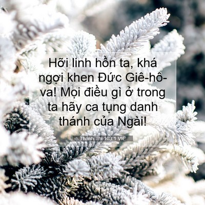 Picture 07 - Thánh Thi 103:1 VIE - Hỡi linh hồn ta, khá ngợi khen Đức - Bible Verse Picture