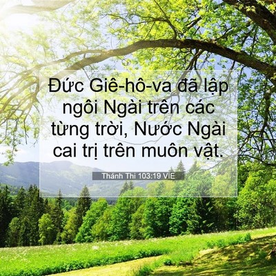 Picture 07 - Thánh Thi 103:19 VIE - Đức Giê-hô-va đã lập ngôi Ngài trên - Bible Verse Picture