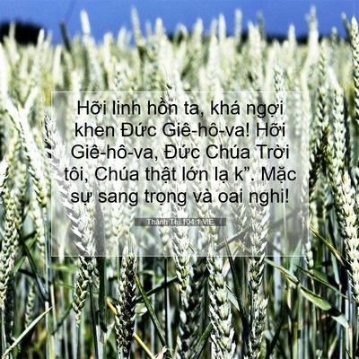 Picture 07 - Thánh Thi 104:1 VIE - Hỡi linh hồn ta, khá ngợi khen Đức - Bible Verse Picture