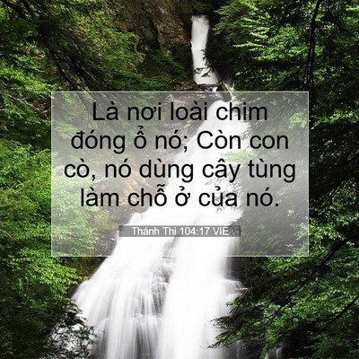 Picture 07 - Thánh Thi 104:17 VIE - Là nơi loài chim đóng ổ nó; Còn con cò, - Bible Verse Picture