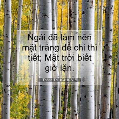 Picture 07 - Thánh Thi 104:19 VIE - Ngài đã làm nên mặt trăng để chỉ - Bible Verse Picture