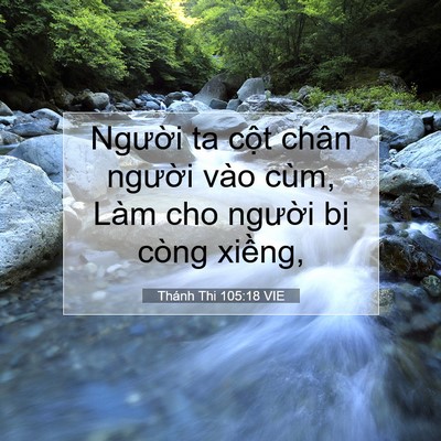 Picture 07 - Thánh Thi 105:18 VIE - Người ta cột chân người vào cùm, Làm - Bible Verse Picture