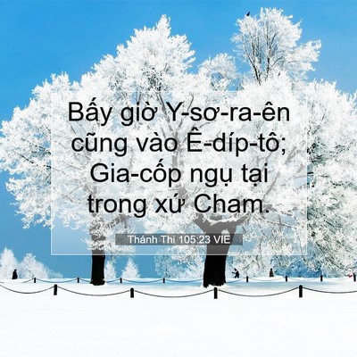 Picture 07 - Thánh Thi 105:23 VIE - Bấy giờ Y-sơ-ra-ên cũng vào Ê-díp-tô; - Bible Verse Picture