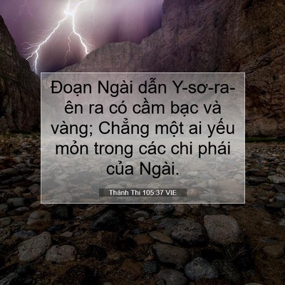Picture 07 - Thánh Thi 105:37 VIE - Đoạn Ngài dẫn Y-sơ-ra-ên ra có cầm - Bible Verse Picture